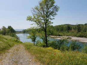 Tra gli olivi